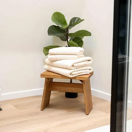 Mayer In Apartment