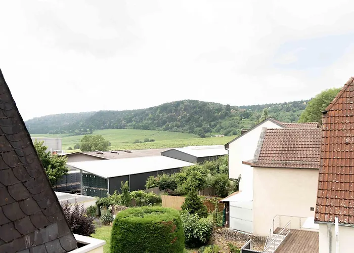 Mayer In * Wachenheim an der Weinstraße