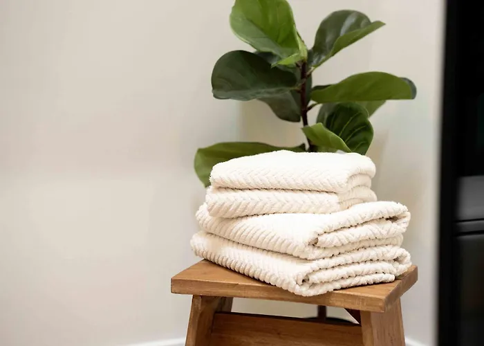 Apartment Mayer In Wachenheim an der Weinstraße